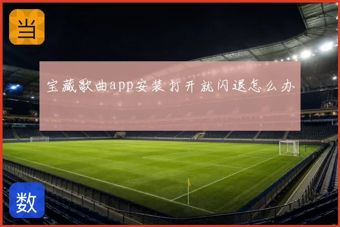 宝藏歌曲app安装打开就闪退怎么办